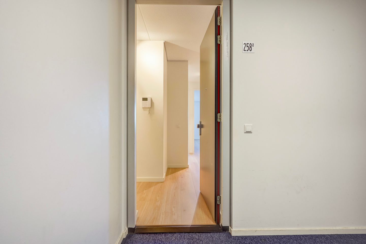 Photo 10 of Stadhoudersplantsoen 258-A