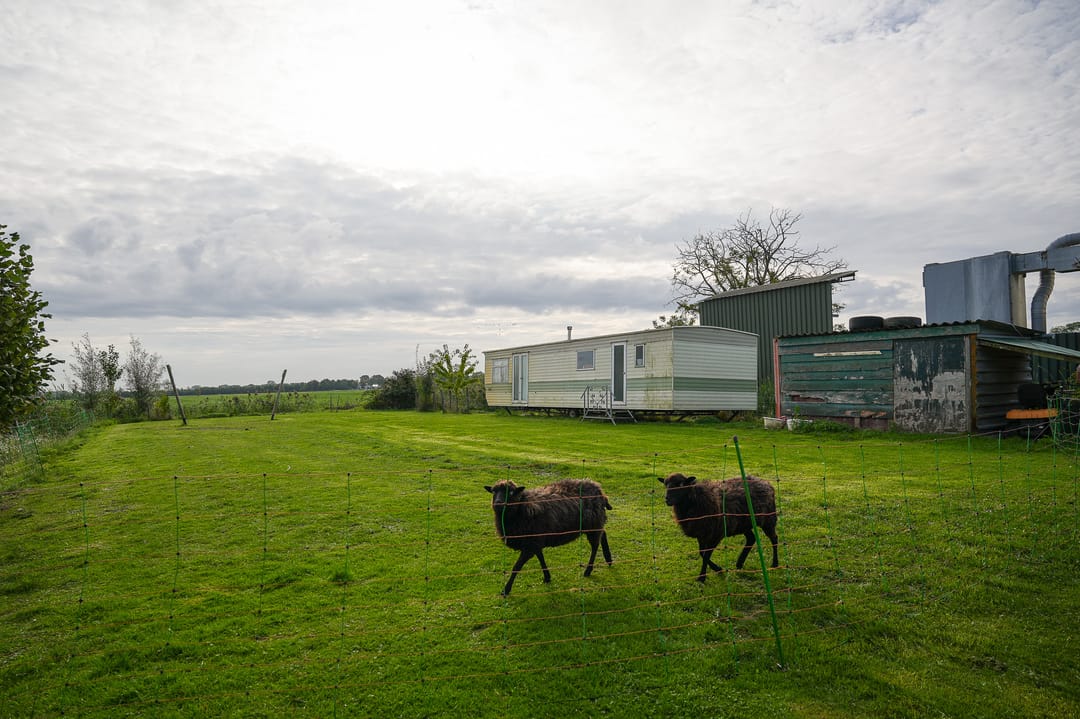 Foto 41 van Maasdijk 138