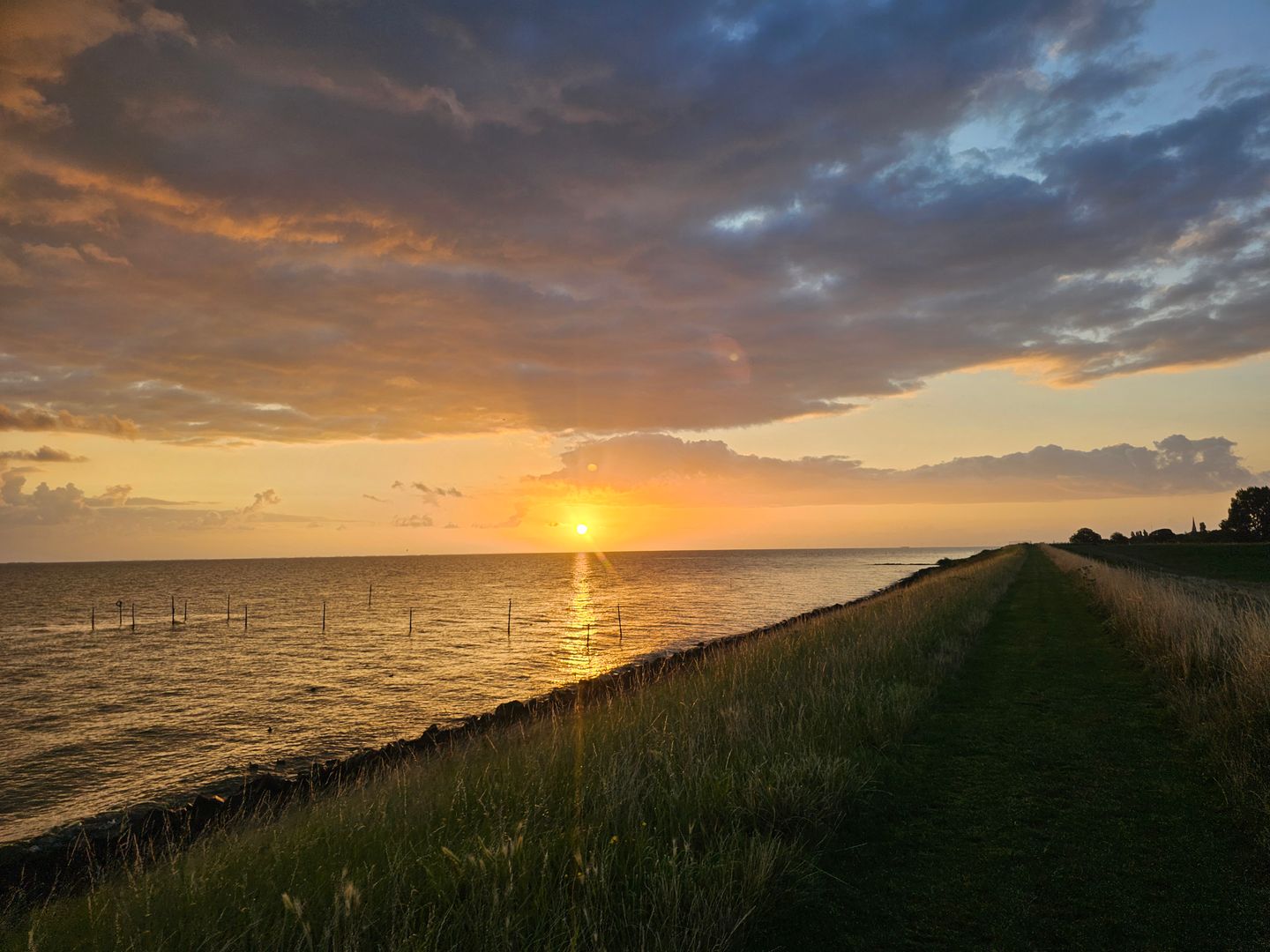 Foto 25 van Proefpolder 4-98