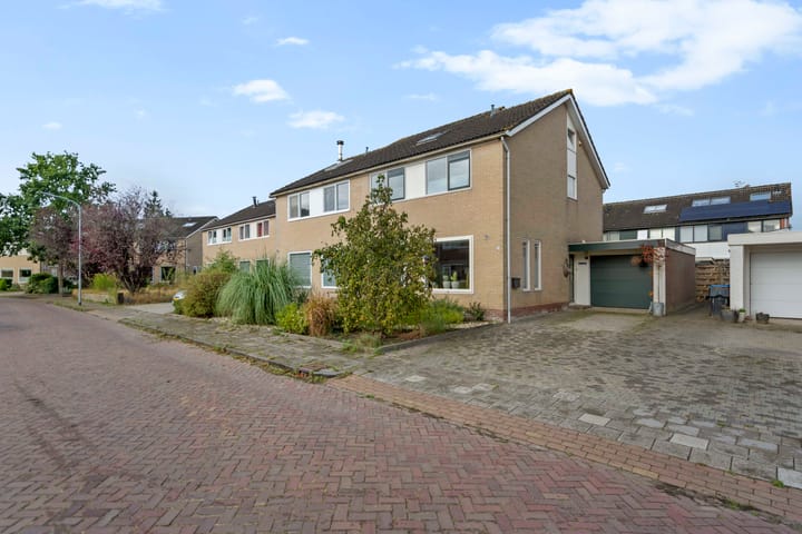 Foto 4 van de Hop 20