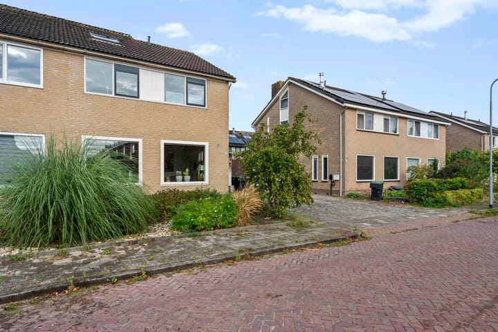Foto 2 van de Hop 20