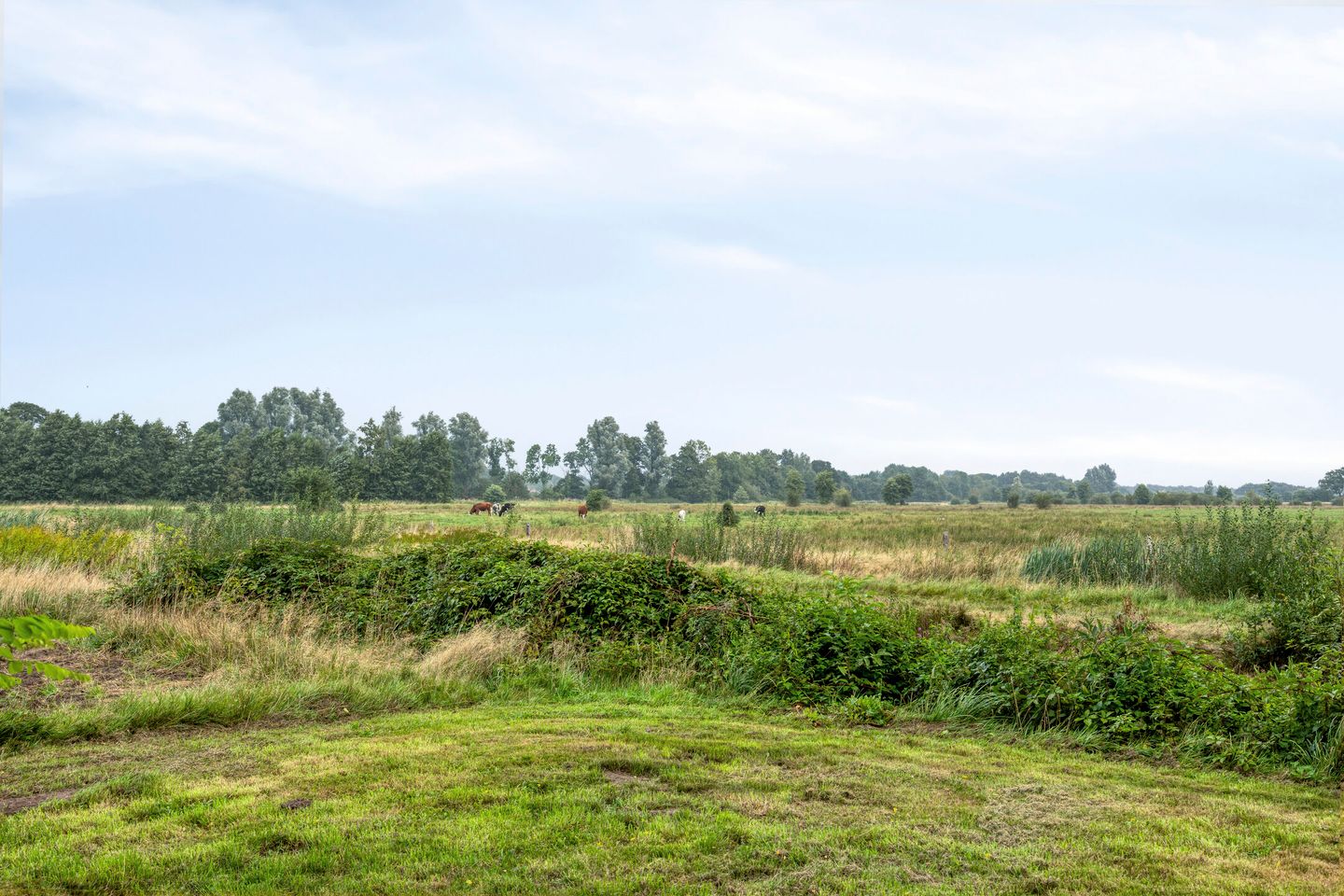 Foto 44 van Ter Wuppingerweg 5-A