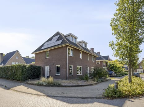 Sint Jansbloem thumbnail