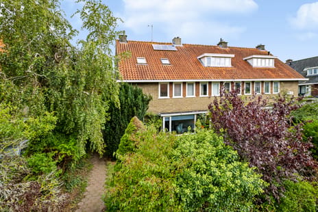 Frans Halslaan thumbnail