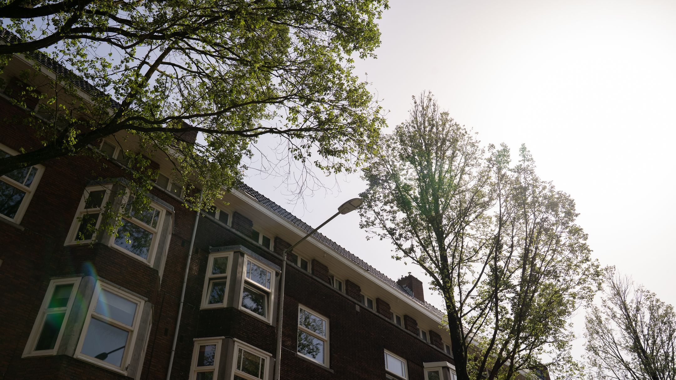 Foto 42 van Haarlemmermeerstraat 31-3