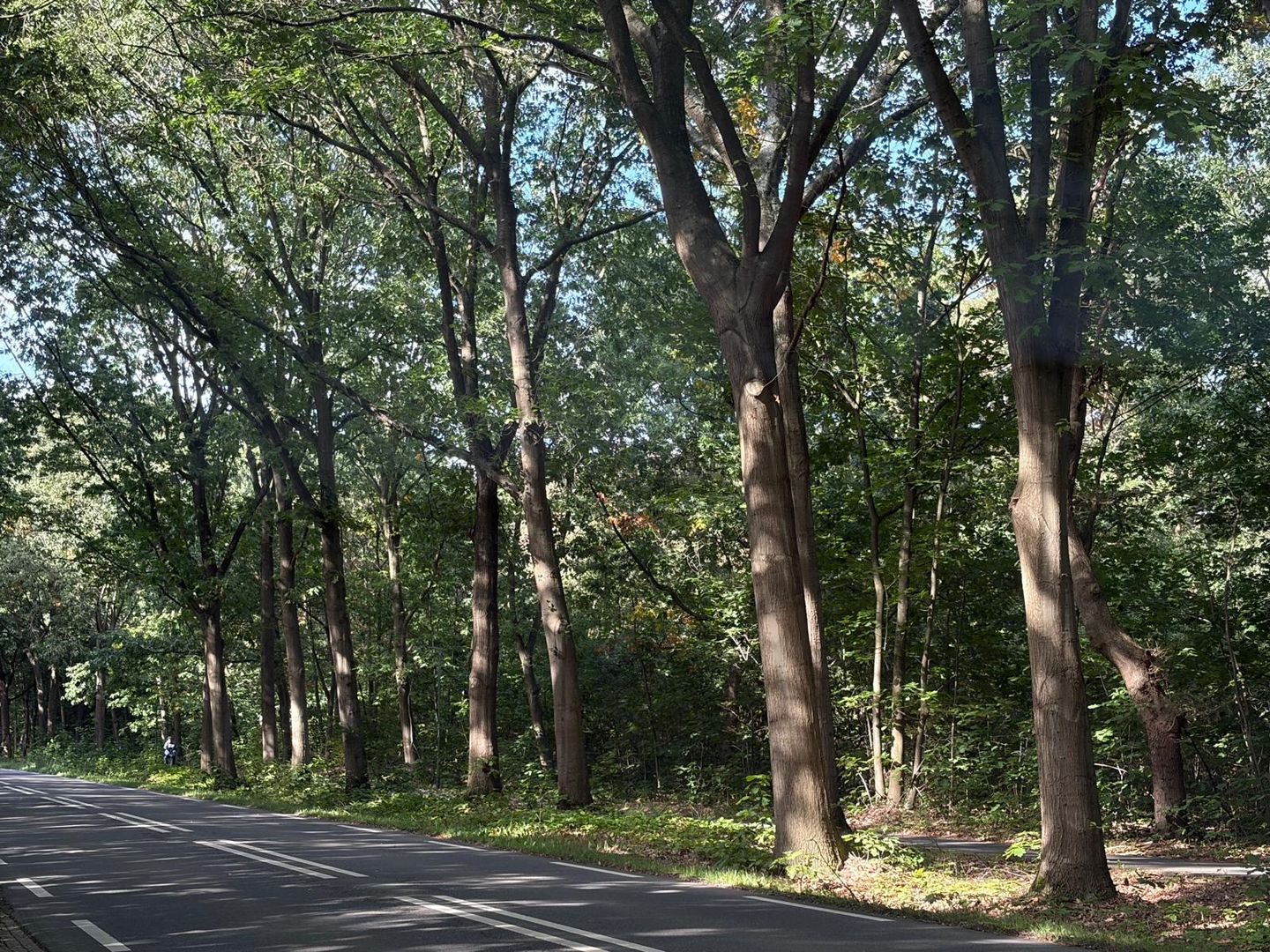 Bekijk foto 3 van Kesselseweg