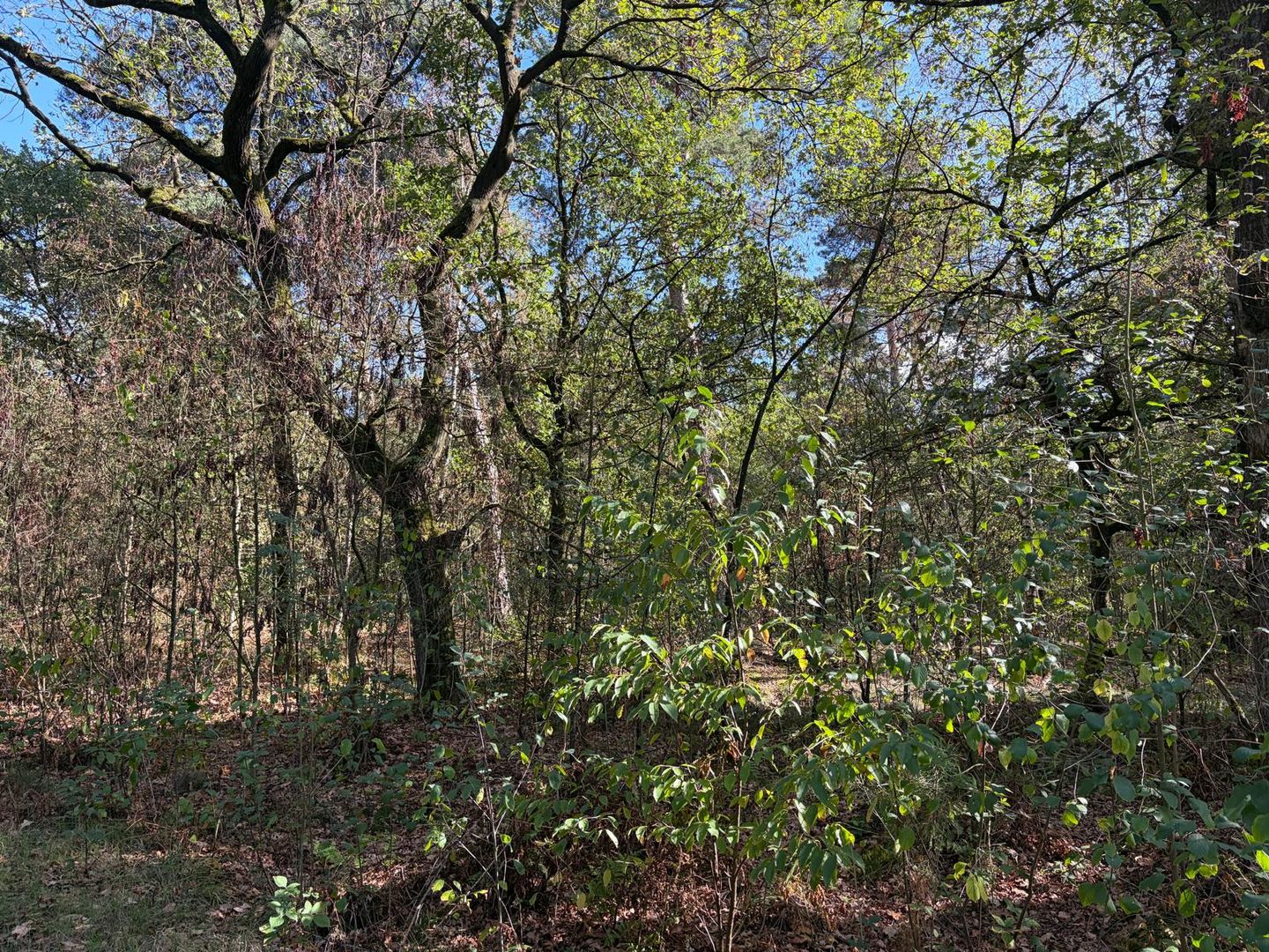 View photo 3 of Heide