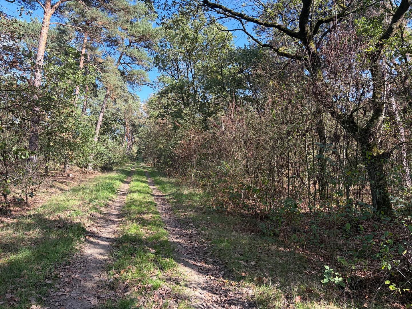 View photo 4 of Heide