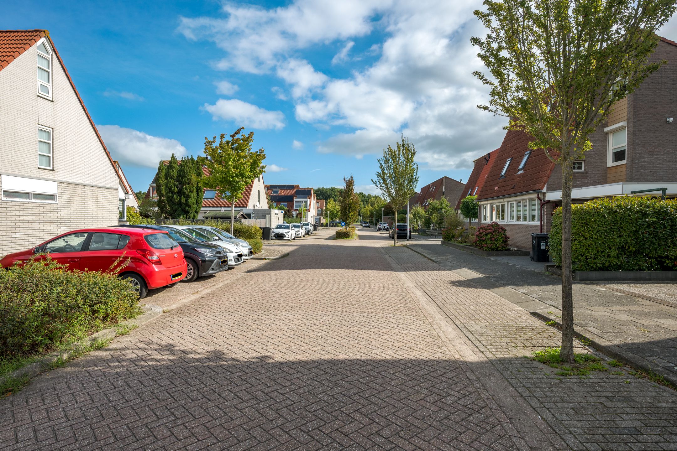 Photo 51 of Fluitekruidstraat 41