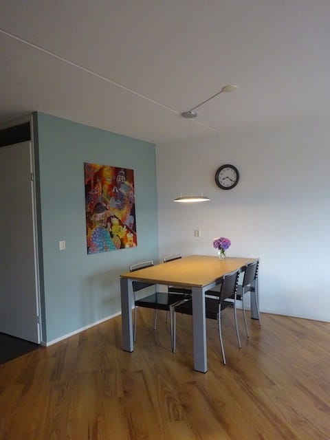 Foto 7 van Havensingel 104
