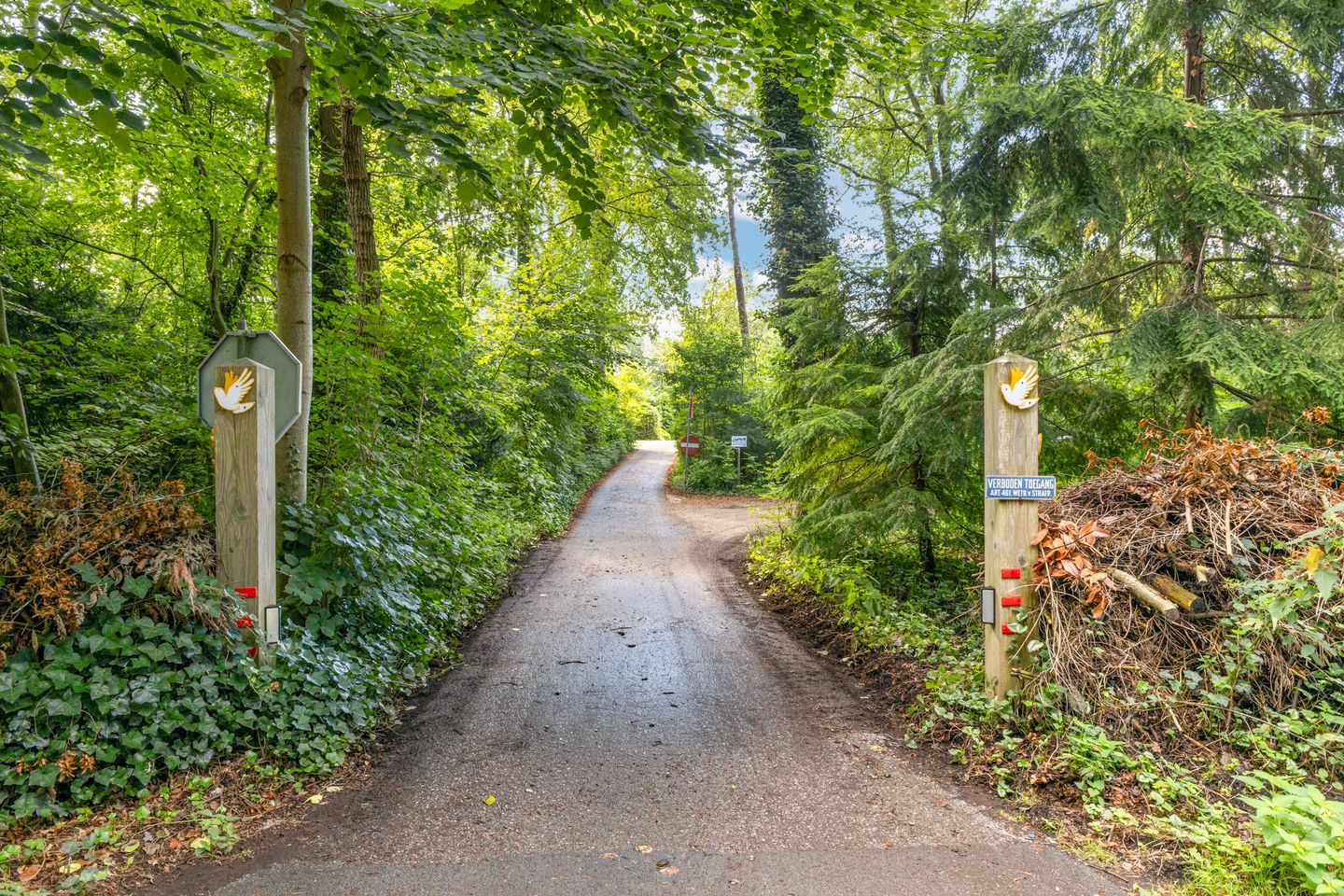 Foto 4 van Leuvenumseweg 120-312
