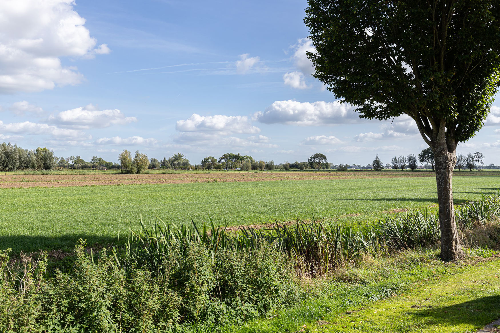 Photo 6 of Wouter van Langherakelaan 16
