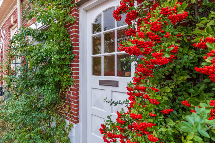 Foto 2 van Bremstraat 10