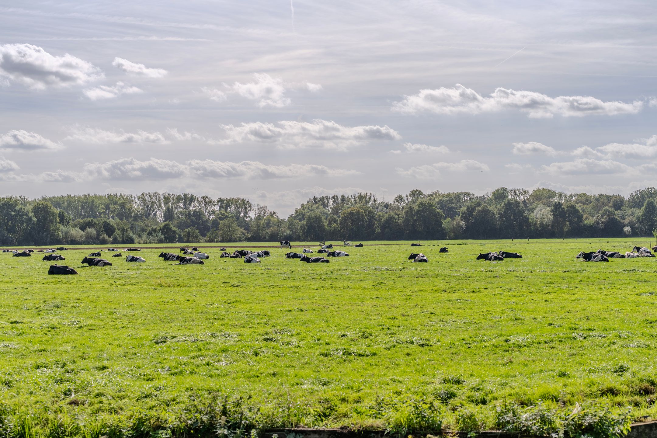 Photo 30 of Koenderseweg 1