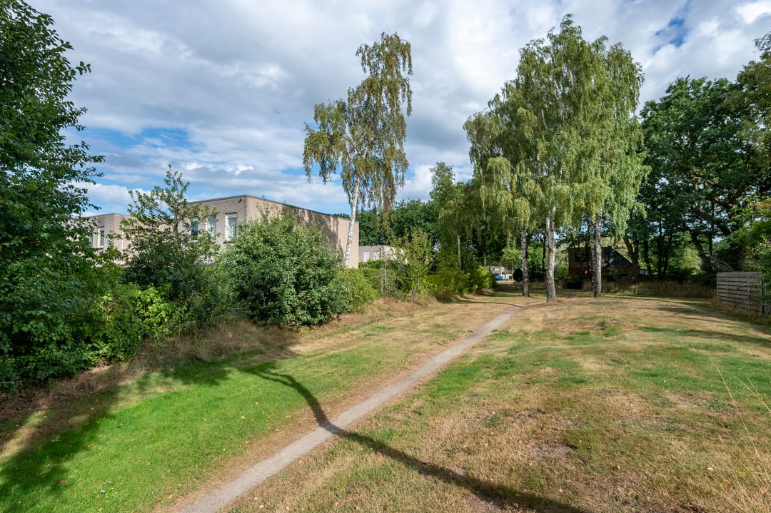Photo 53 of Kerkuil 68