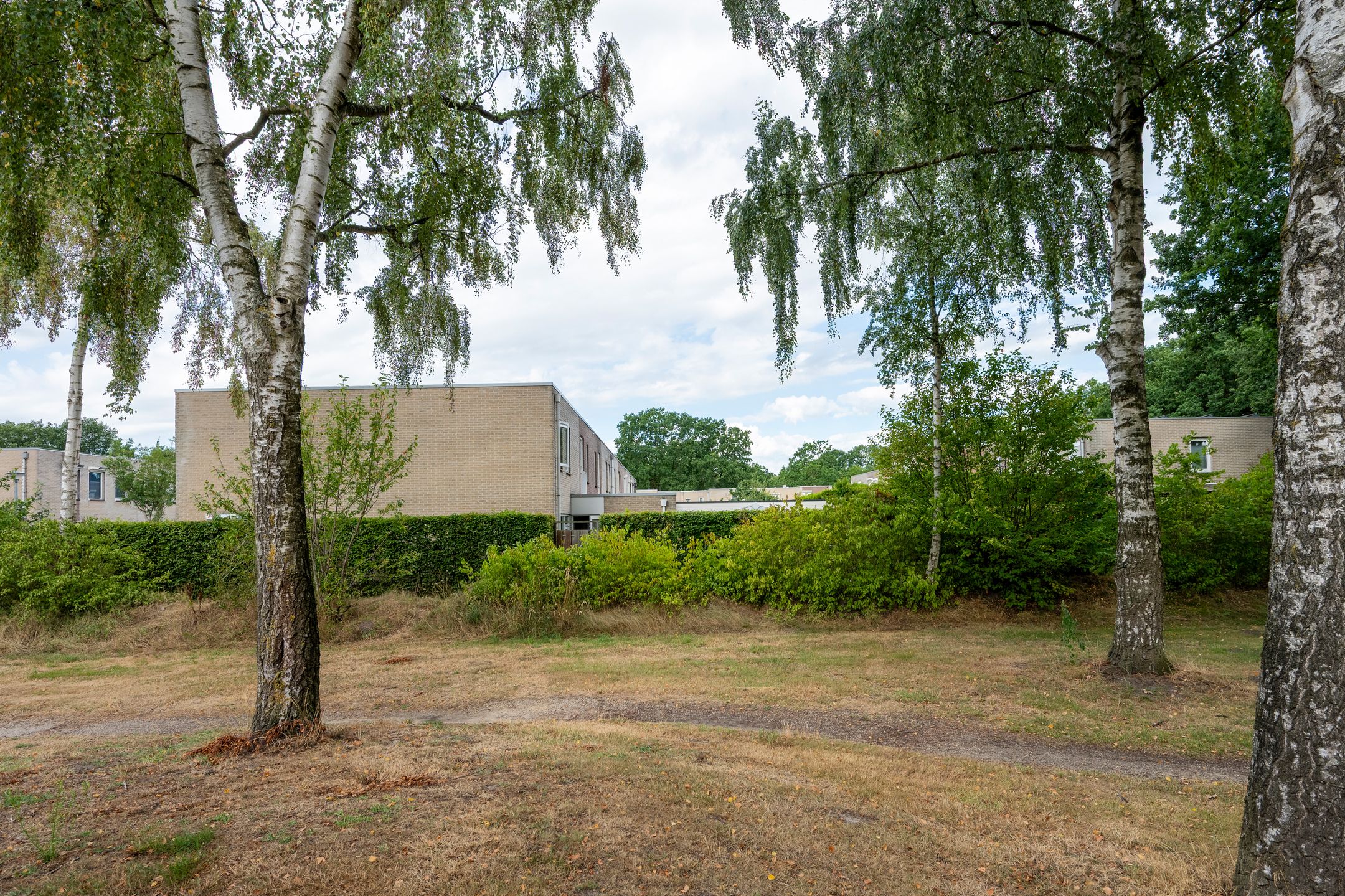 Photo 51 of Kerkuil 68