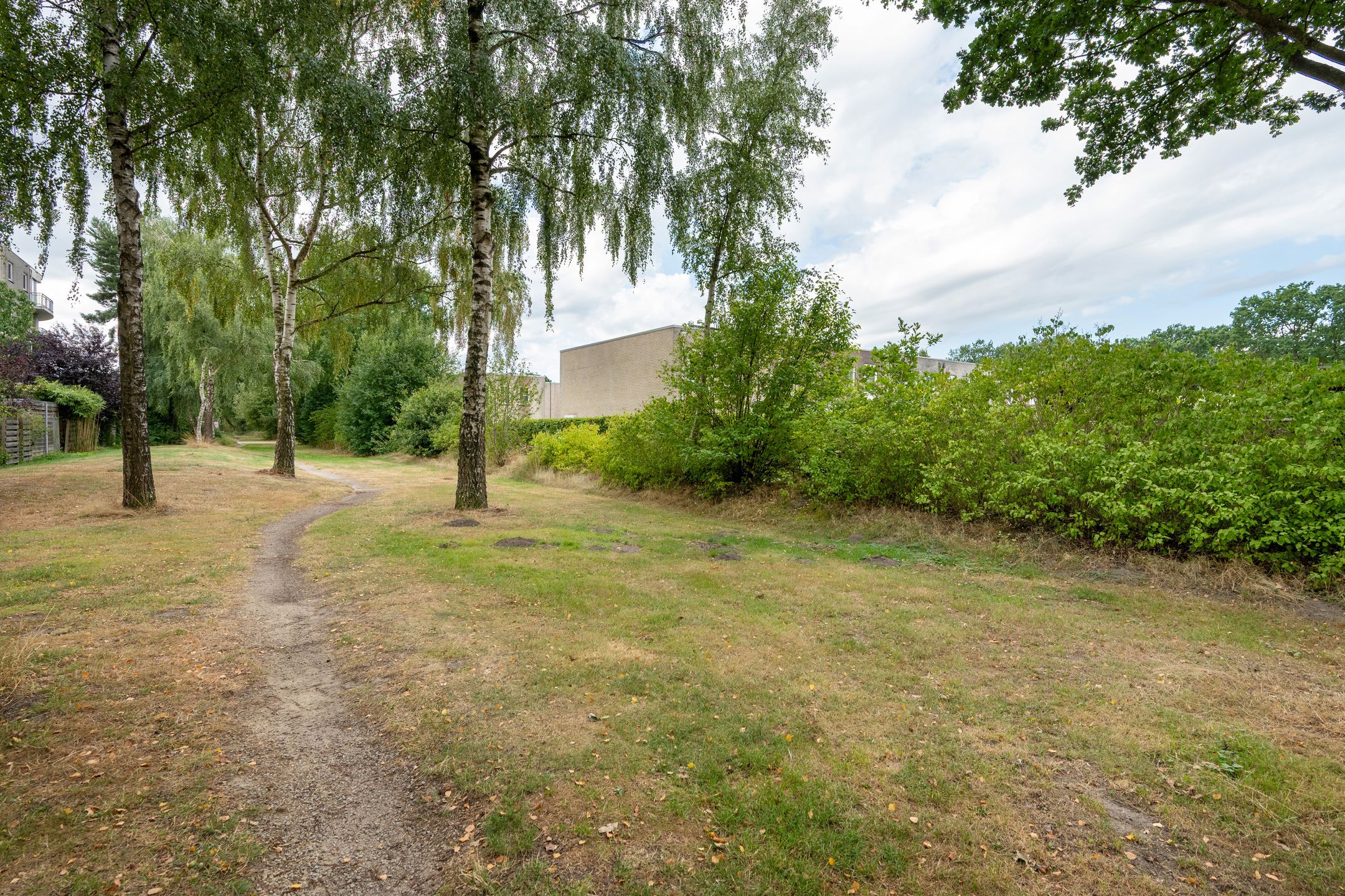 Photo 54 of Kerkuil 68