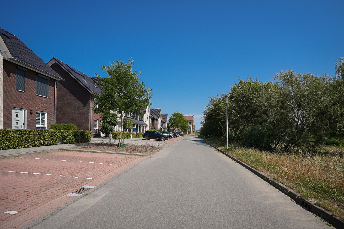Foto 44 van Koolzaadveld 51