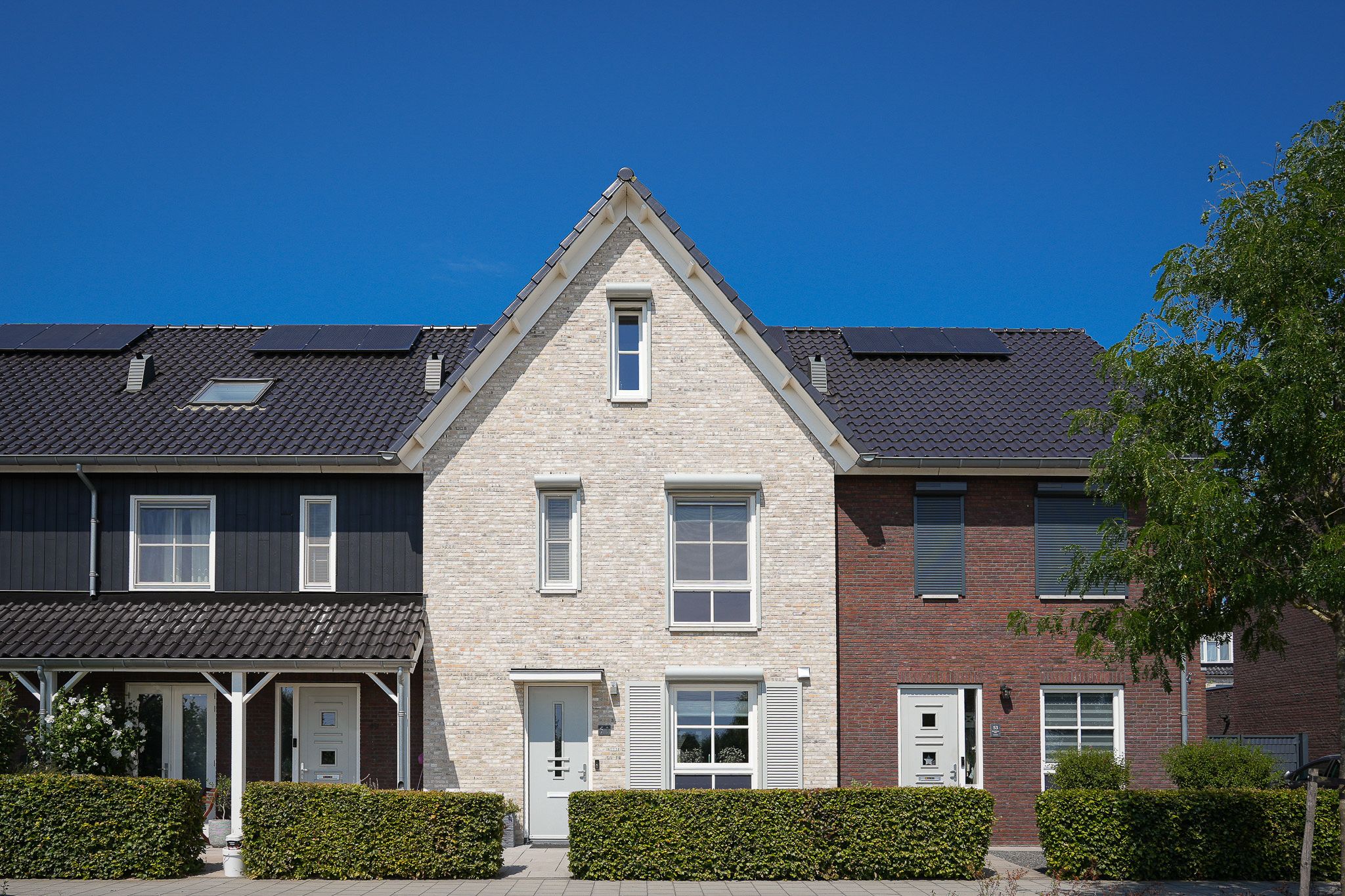 Foto 42 van Koolzaadveld 51