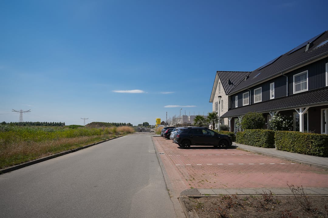 Foto 43 van Koolzaadveld 51