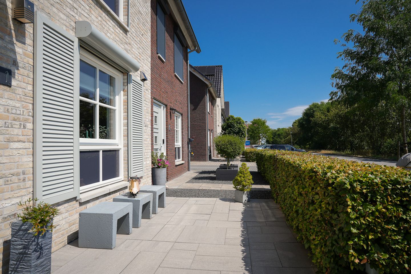 Foto 40 van Koolzaadveld 51