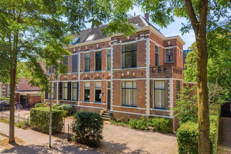 Terborchstraat thumbnail
