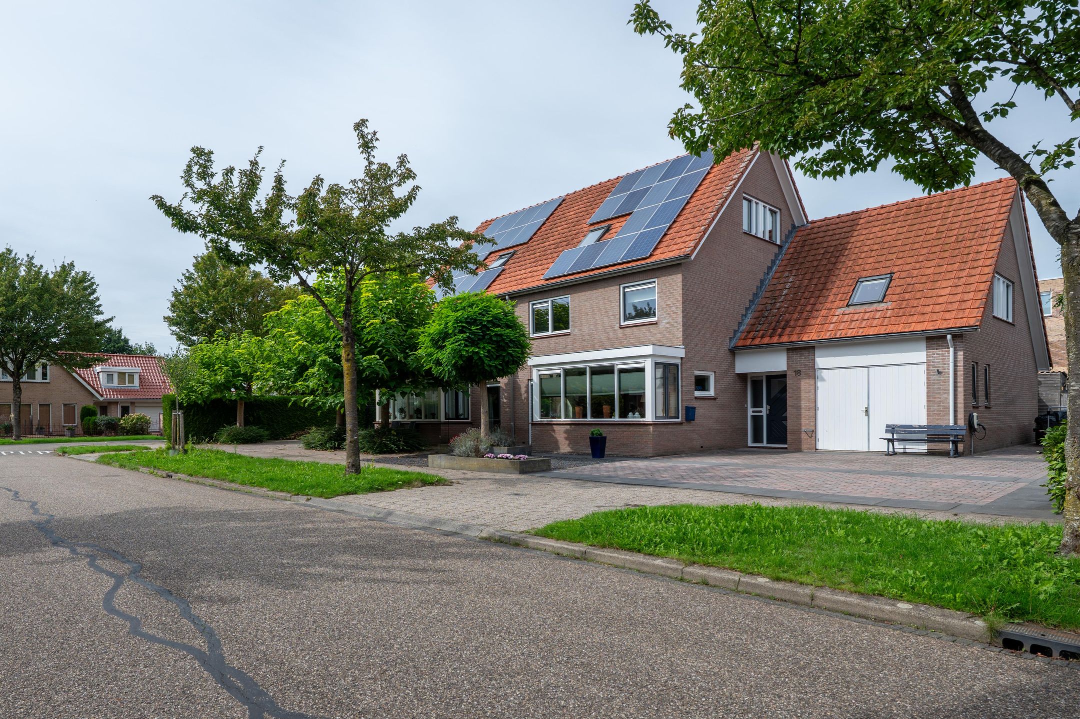 Foto 42 van Groene Specht 18