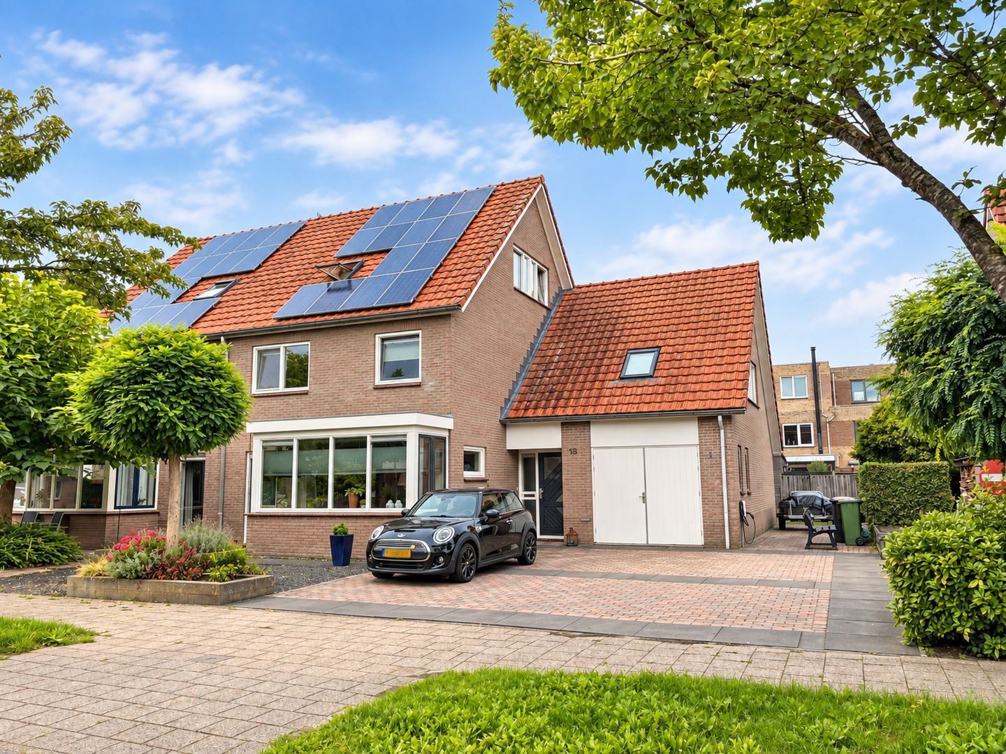 Foto 44 van Groene Specht 18
