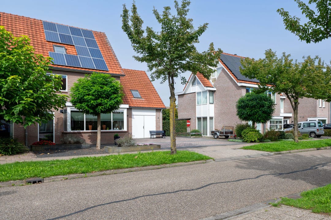 Foto 43 van Groene Specht 18