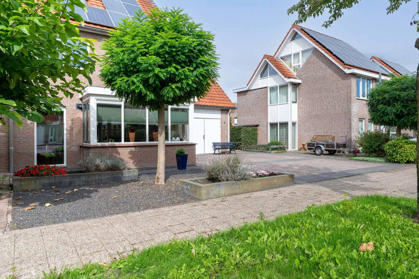 Foto 40 van Groene Specht 18
