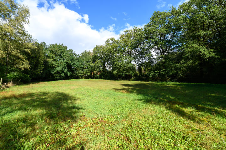 Woning te koop: Boerestreek, Appelscha