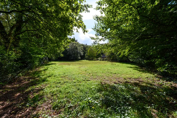 Woning te koop: Boerestreek, Appelscha