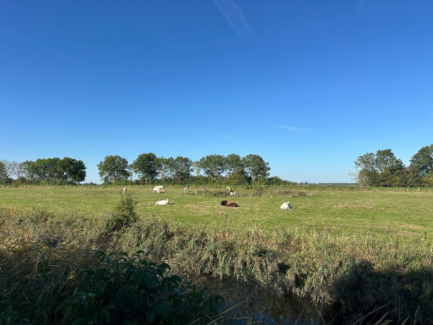 Photo 35 of Maaidijk 11