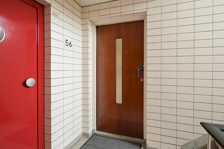 Foto 4 van Suzannaland 56