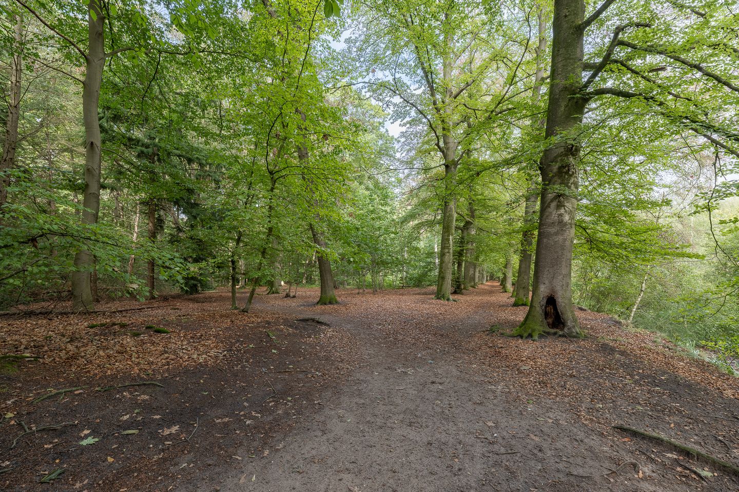 Foto 40 van Park Sparrendaal 136