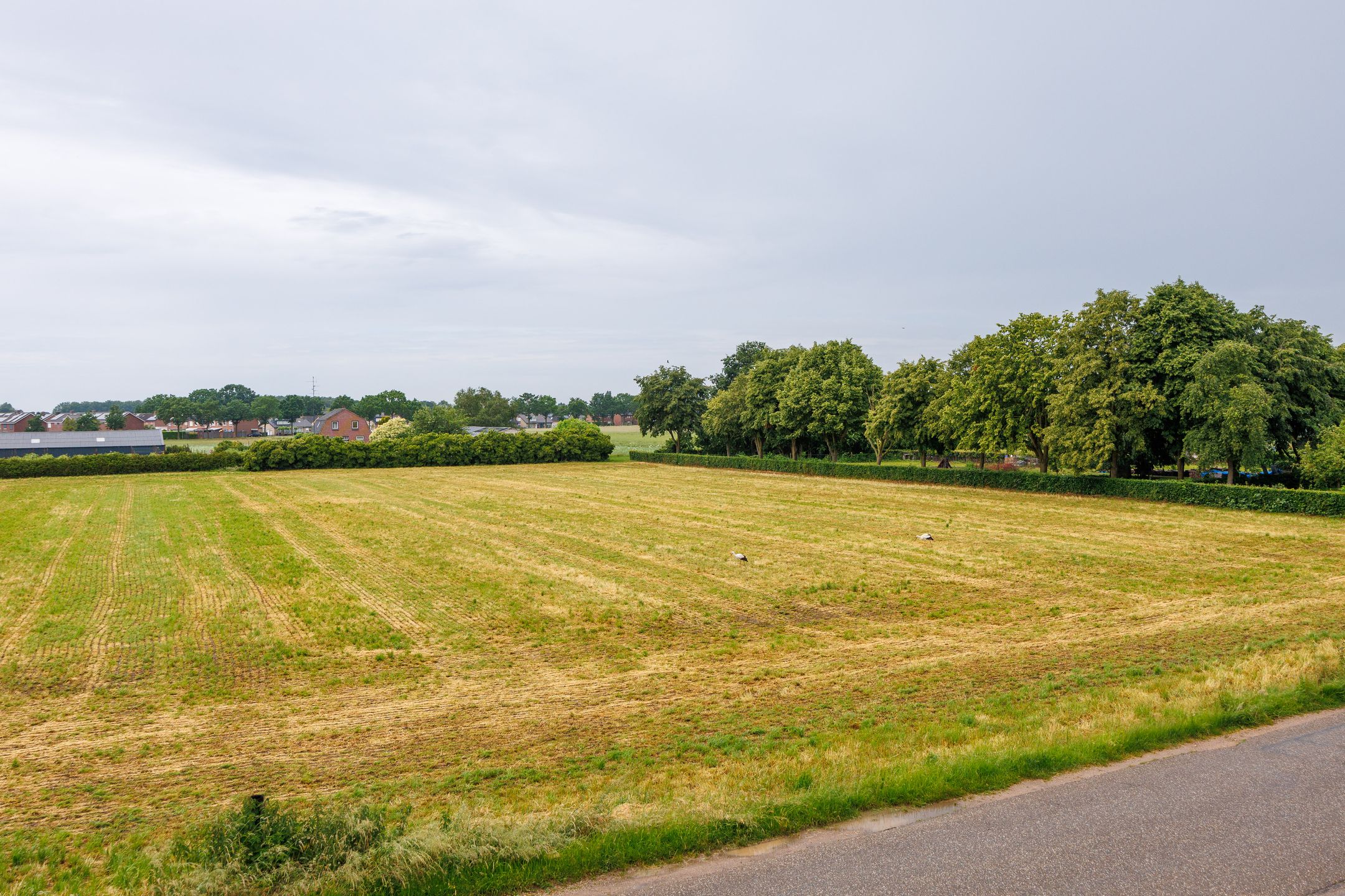 Photo 24 of Augustinusweg 2