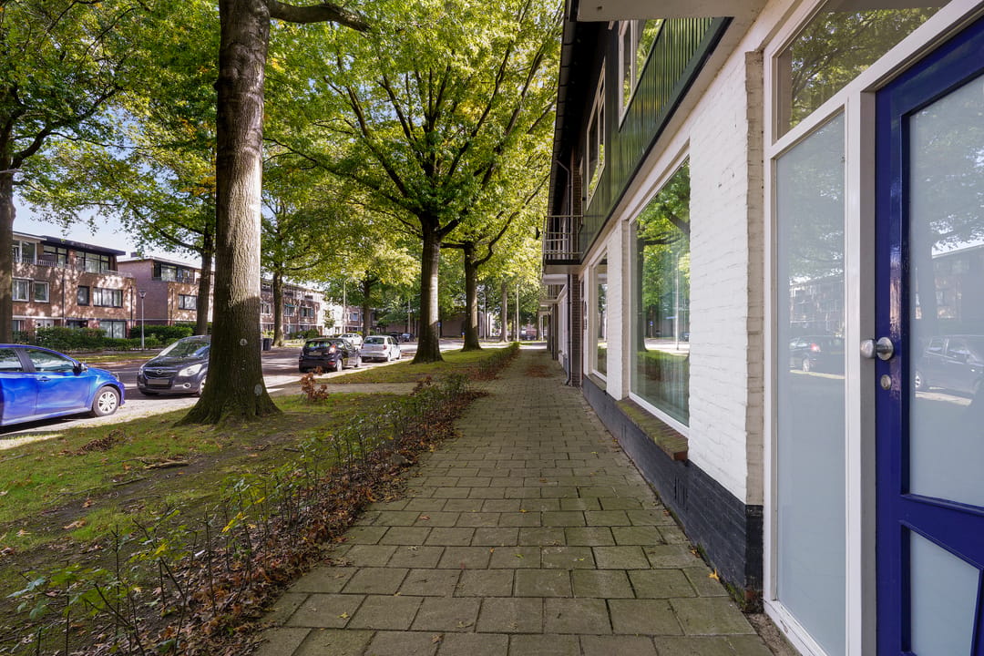 Foto 43 van Lage Witsiebaan 252