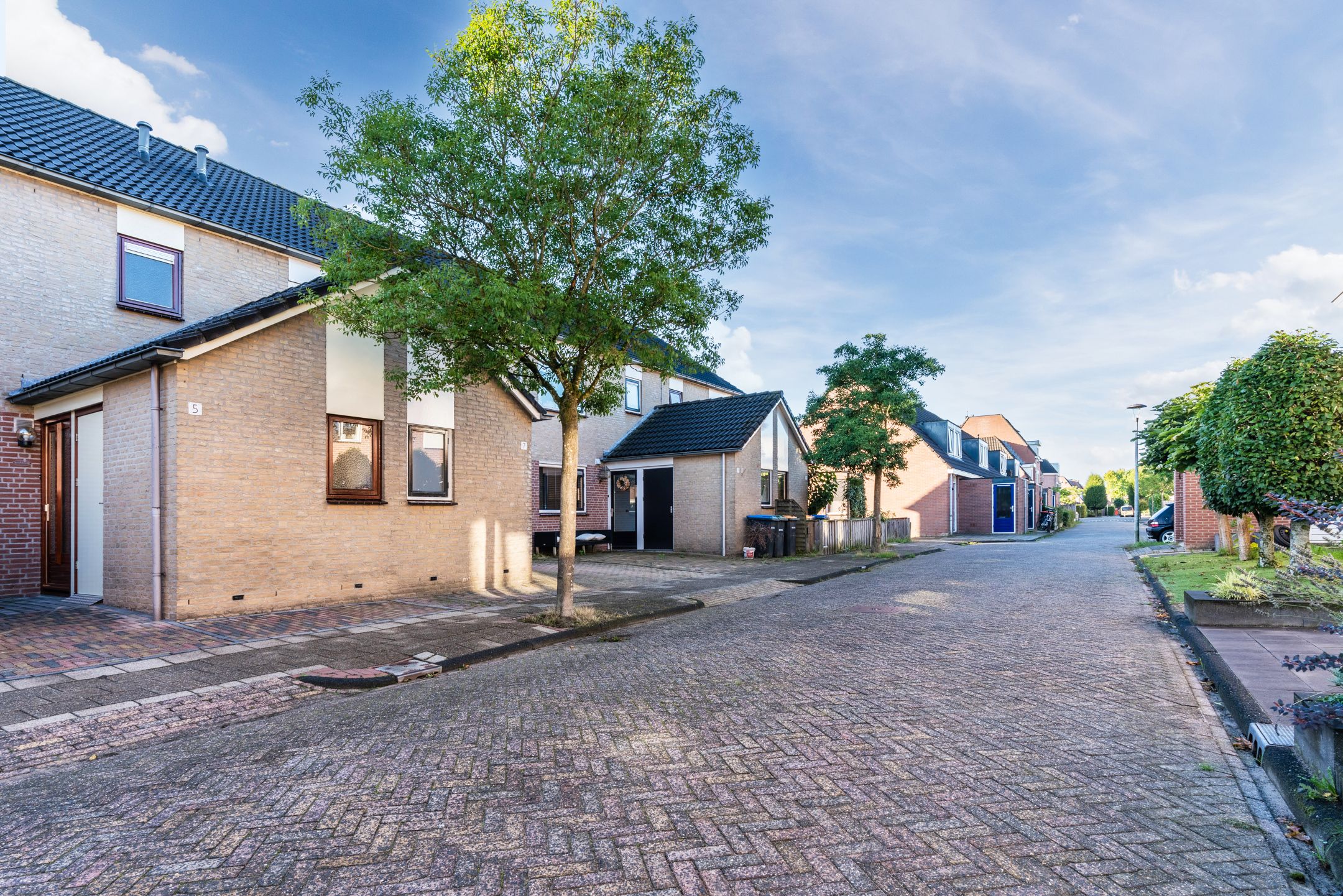 Foto 42 van de Gelder 7