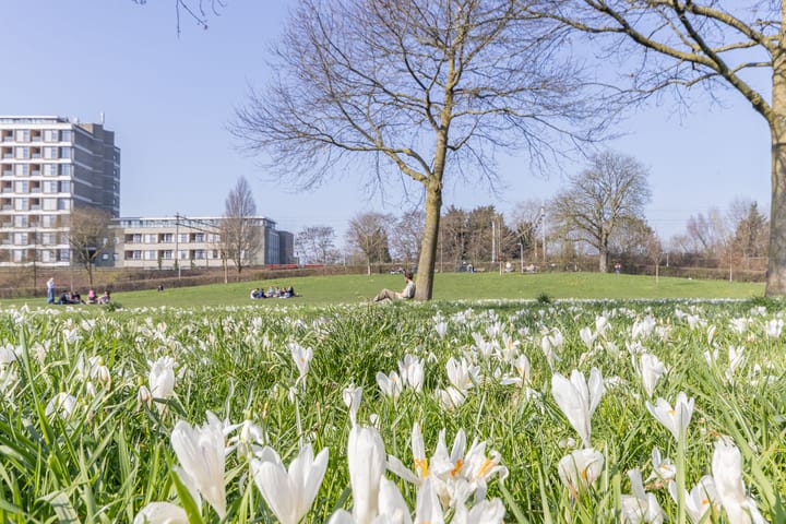 Appartement te koop: Oudenoord 515, Utrecht