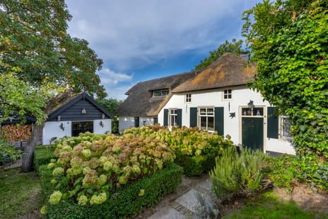 Maasdijk thumbnail