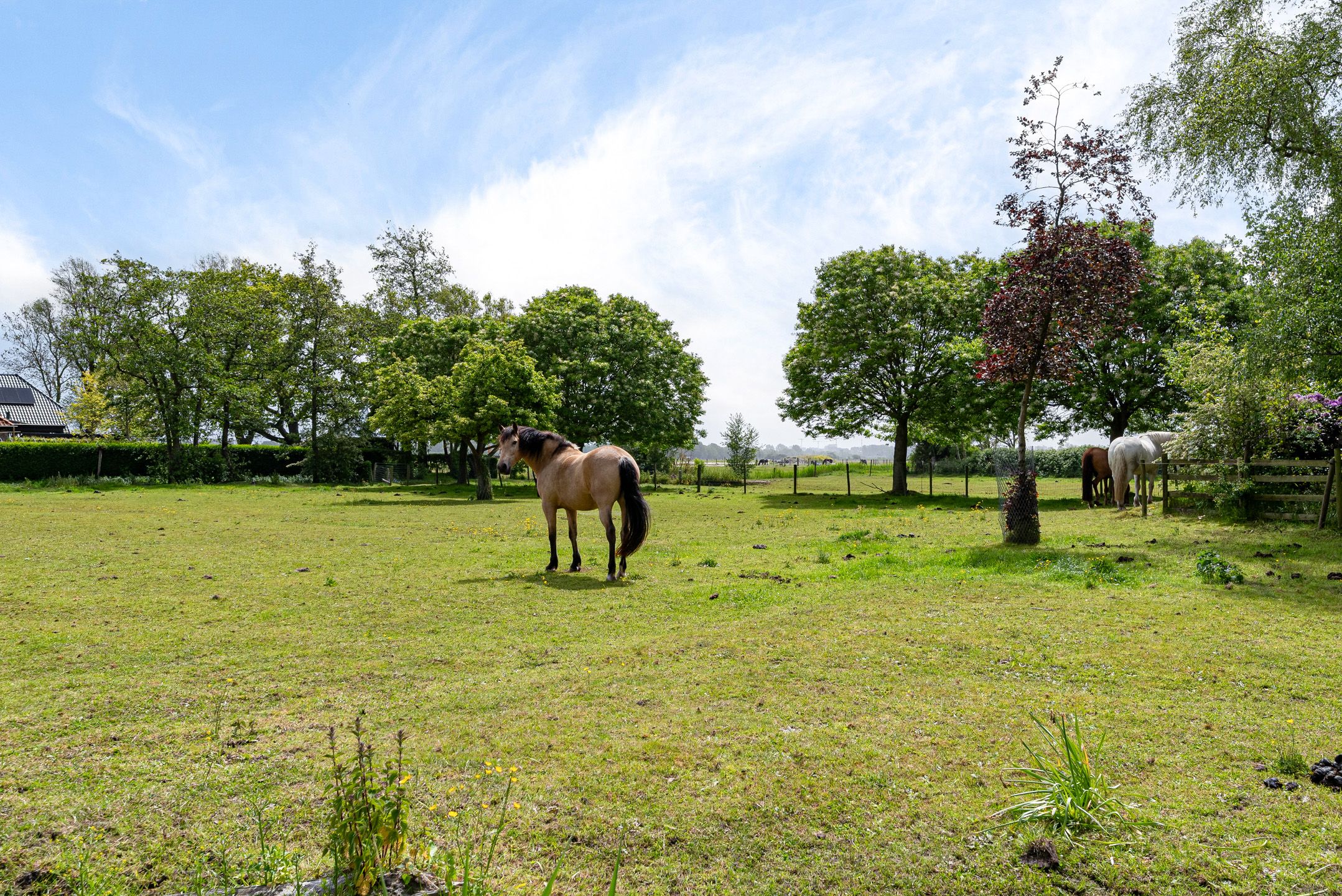 Photo 48 of Tuindorpweg 17