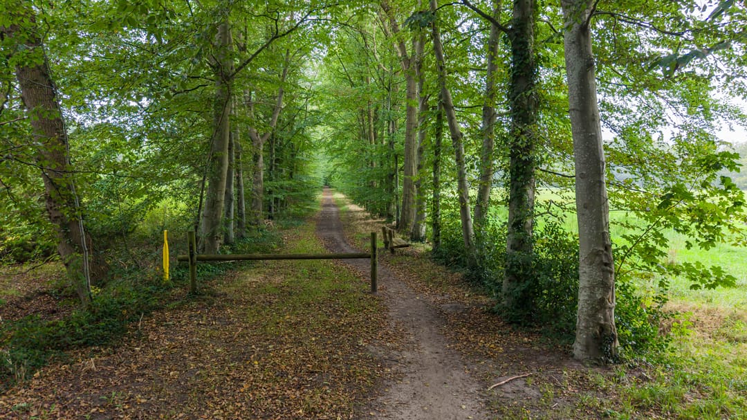 Foto 47 van Hoofdweg 320