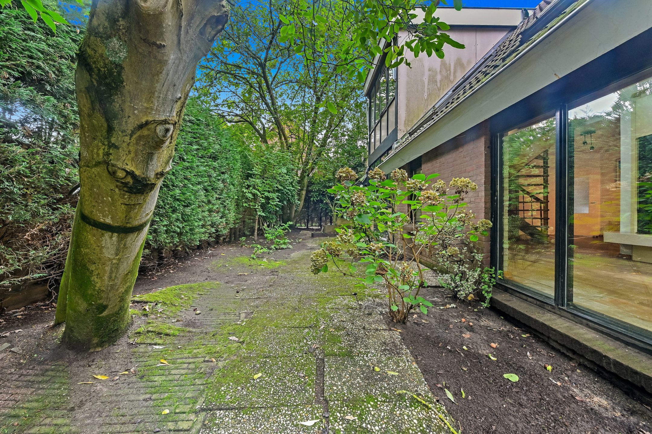 Photo 30 of Haagwinde 31