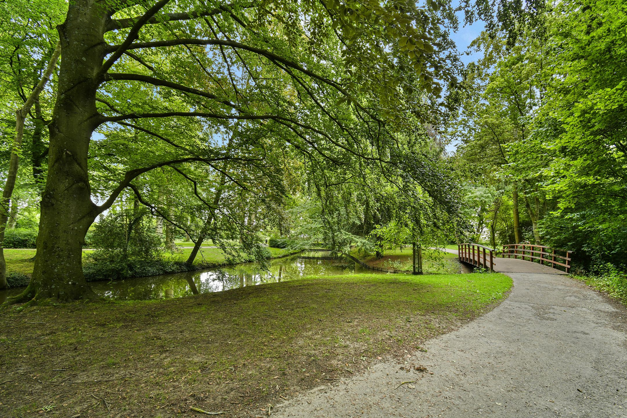 Foto 48 van Cederlaan 13