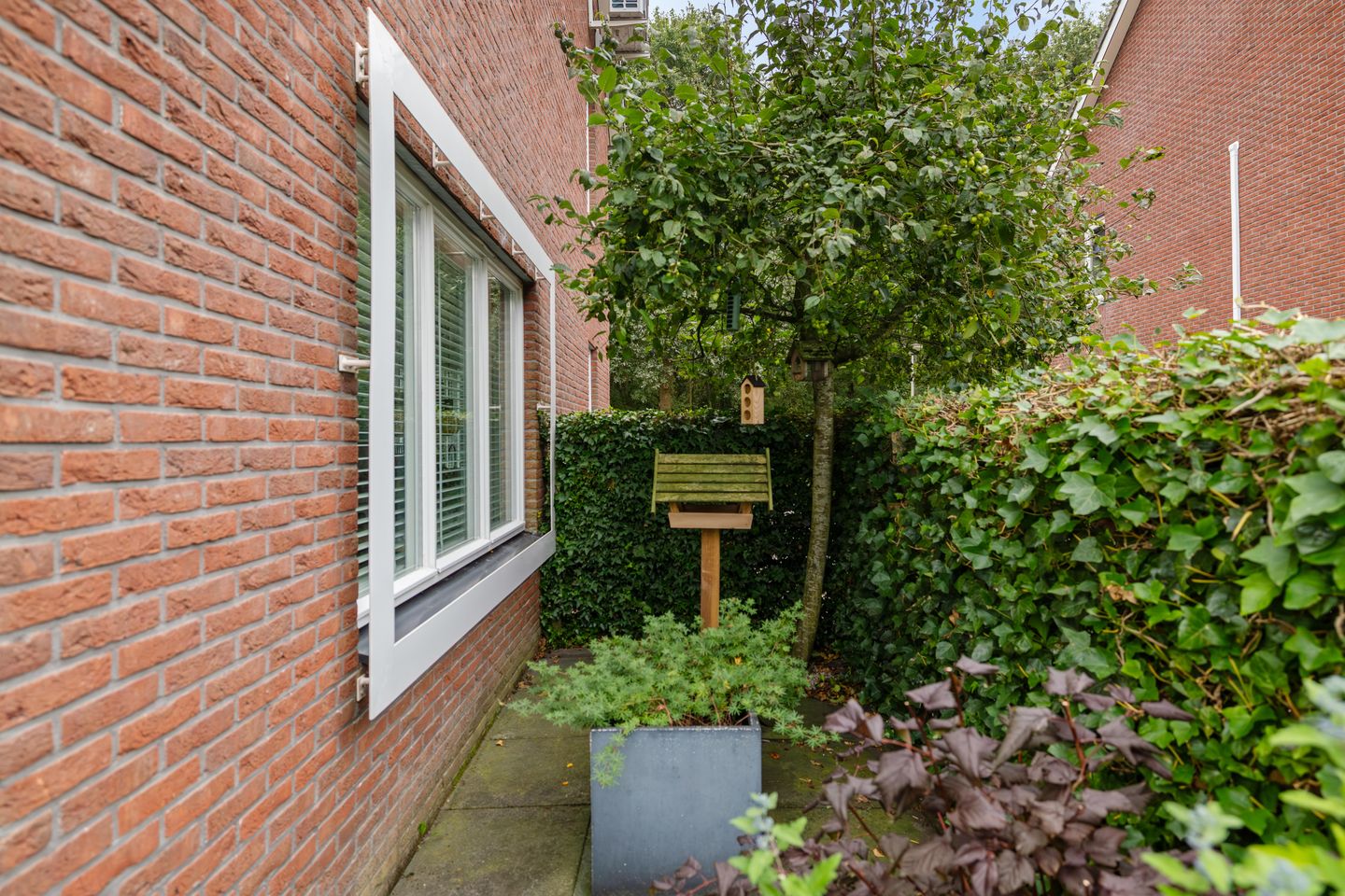 Foto 59 van Bostulp 12