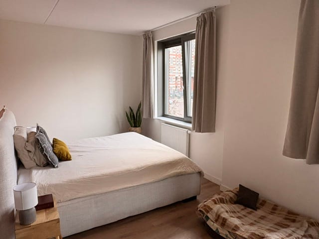 Foto 5 van Palladio 62