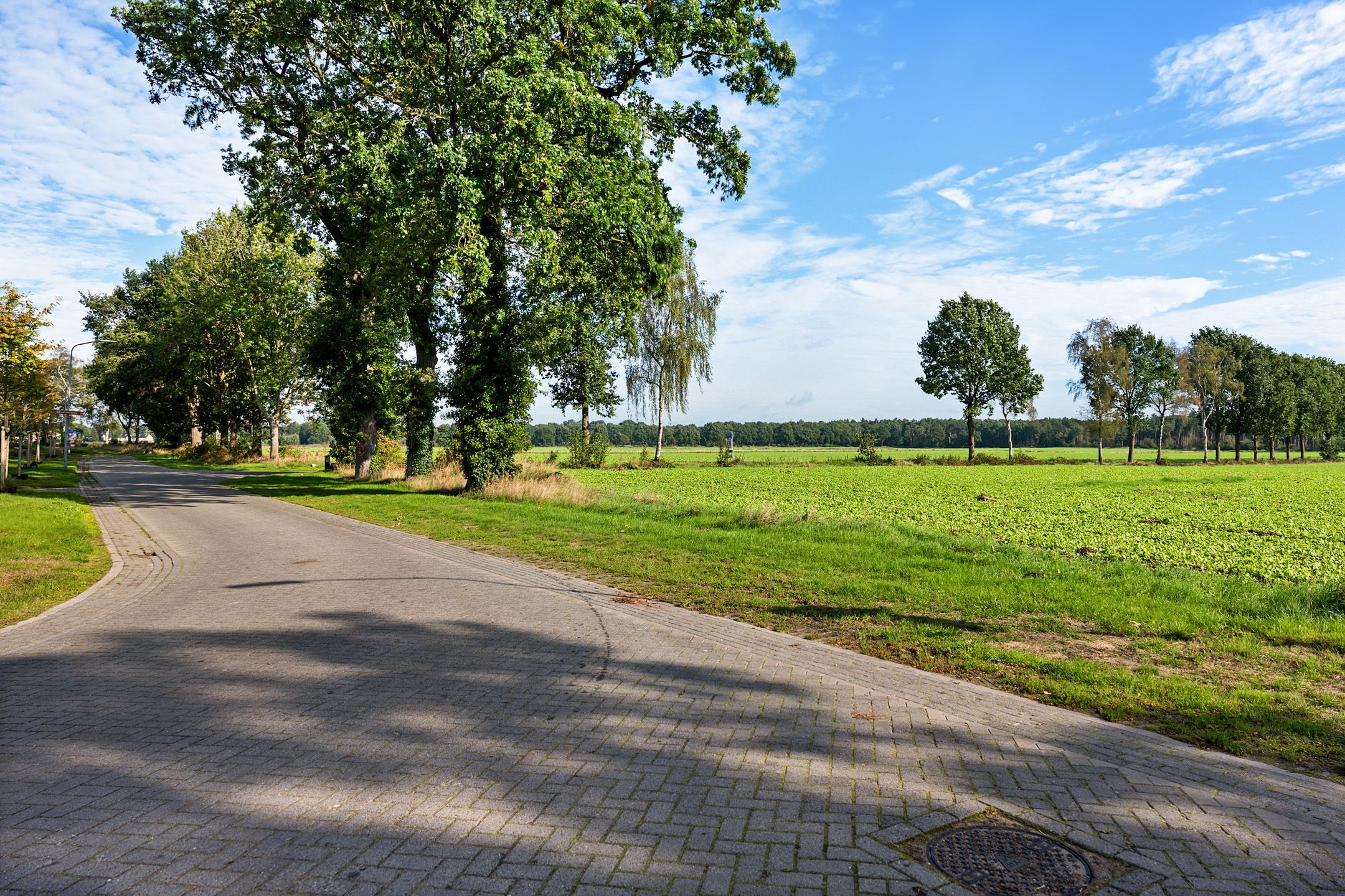 Photo 9 of Buinerweg 4