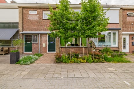 van Speijkstraat thumbnail