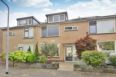 Calvijnhof thumbnail
