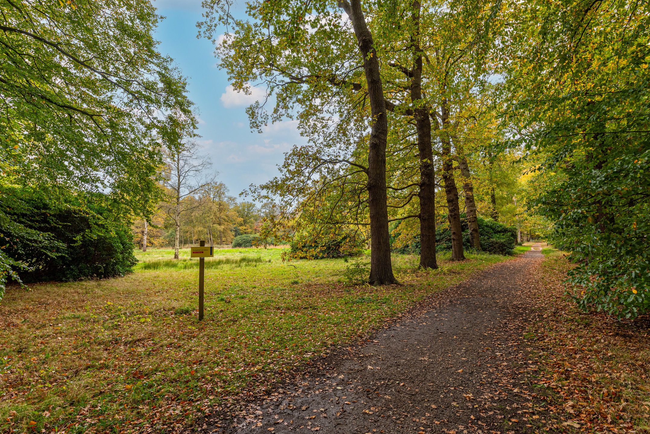Photo 39 of Zuidermeent 50